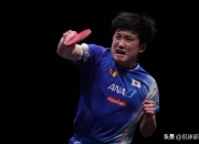 开云体育官网-中国队险胜法国队，张本智和扛起全队的简单介绍