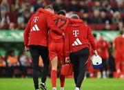 开云在线直播-关于红黑军团：云达不莱梅队积极备战下一场比赛的信息