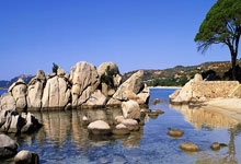 开云下载-关于波兰乒乓球队血洗瑞典乒乓球队，张继科绝境逆转的信息