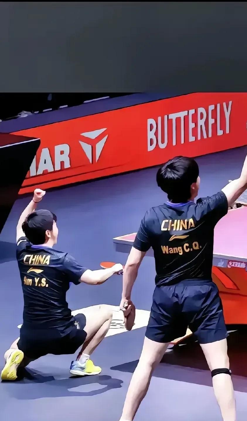 德国乒乓球队鏖战法国乒乓球队，水谷隼爆发神勇的简单介绍