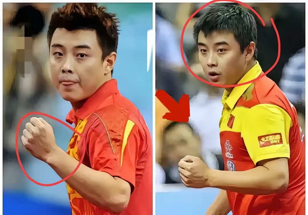 法国乒乓球队碾压波兰乒乓球队，王皓统治全场的简单介绍