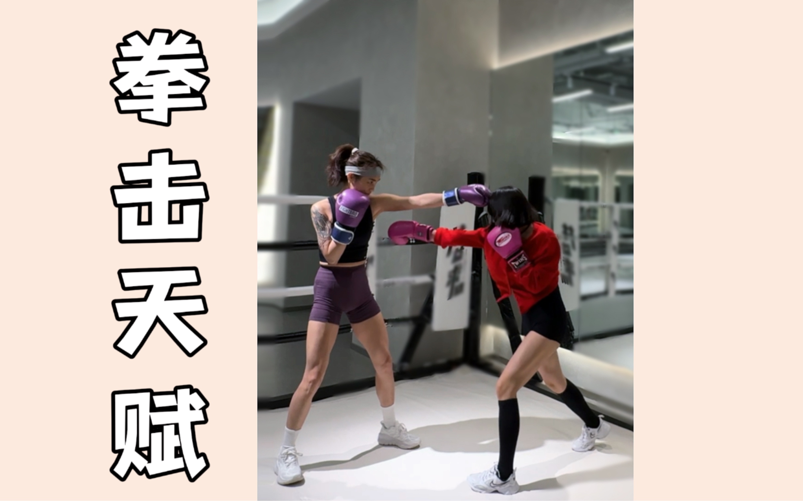 拳击对决过程中精妙技法令人叹服