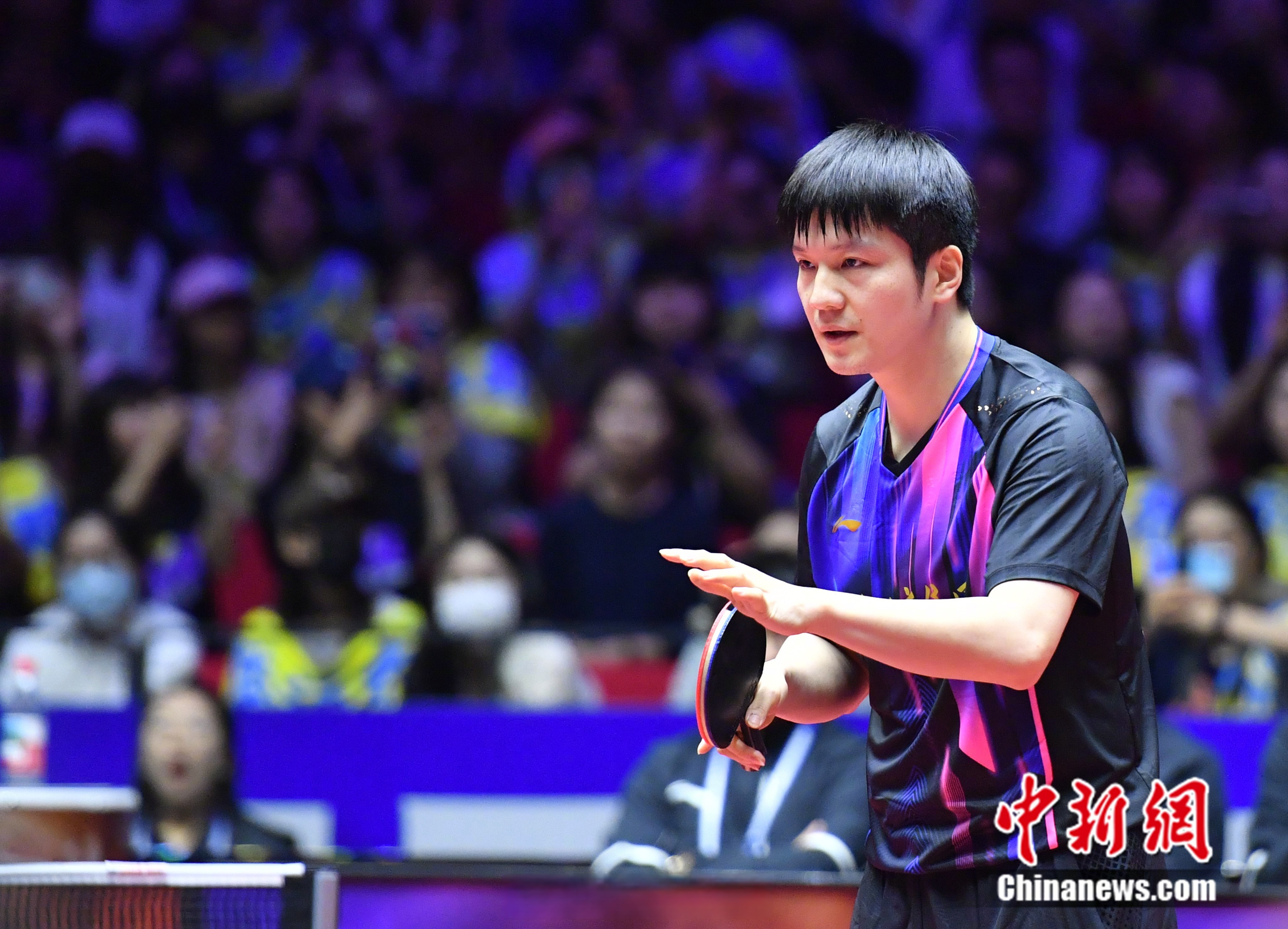 关于日本队险胜韩国队,樊振东高光表现的信息 关于日本队险胜韩国队,樊振东高光表现的信息