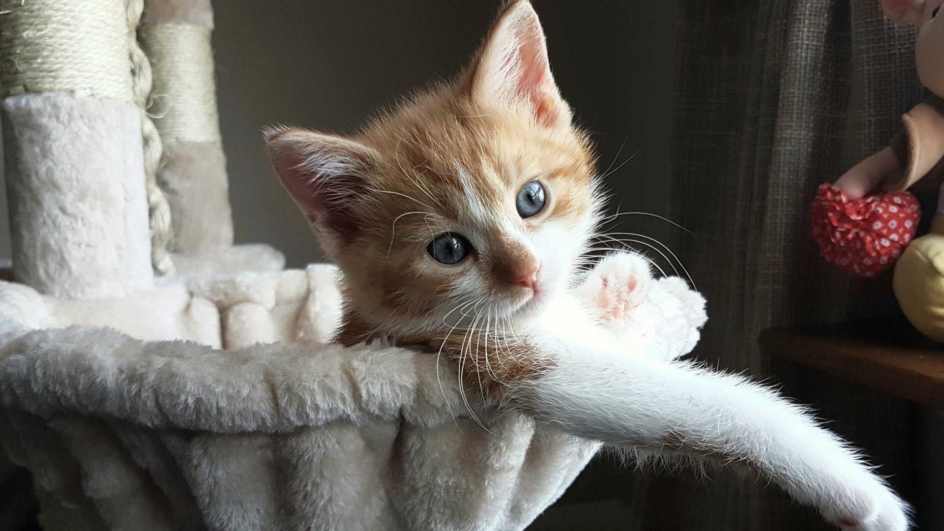 阿什拉夫·哈基米，那不勒斯之魂强行终结德国战车，美加墨世界杯新王接管时代