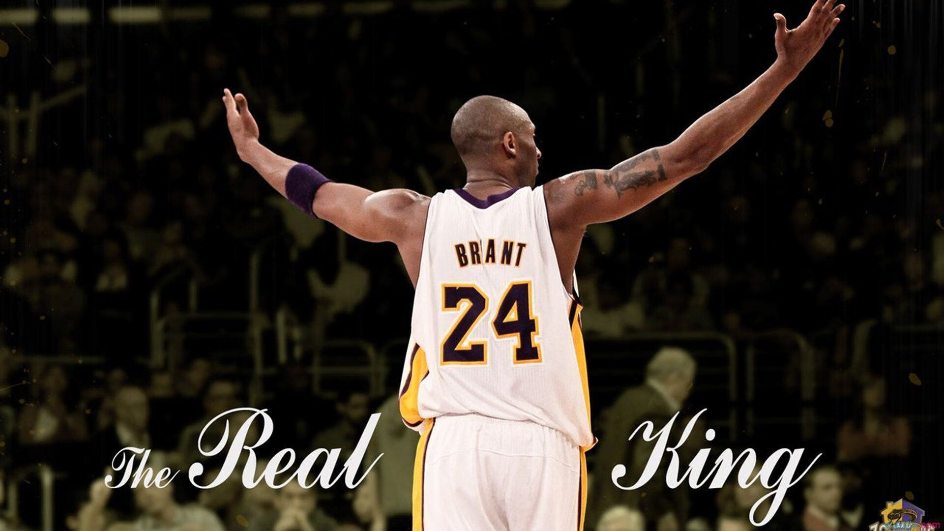 赛道与球场的双重奏，霍勒迪的接管时刻